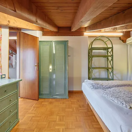 Domus